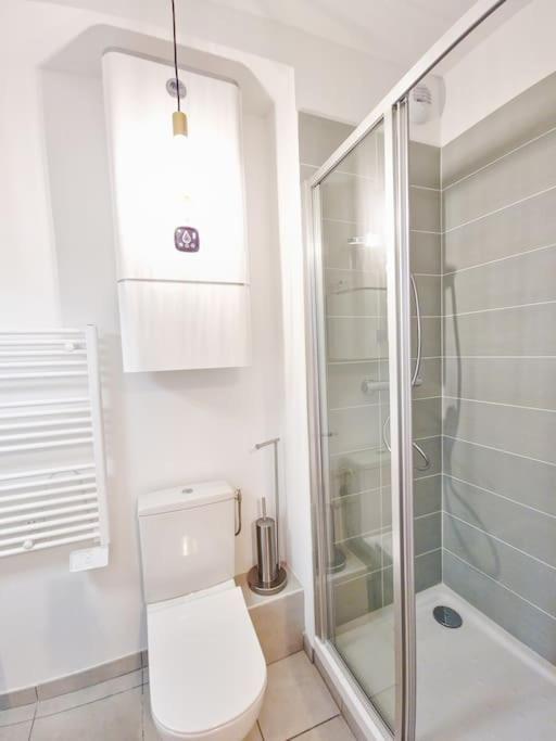 Apartamento Studio Calme Et Lumineux - Ascenceur - Gare -Metro Toulouse Exterior foto